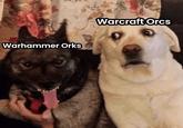 Warhammer Orks Warcraft Orcs