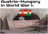 Austria-Hungary in World War I: Three fronts Language barriers Geographical disadvantages Feuding command structures