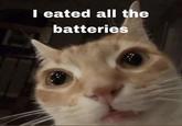 I eated all the batteries
