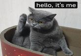 hello, it's me
