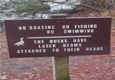 NO BOATING NO FISHING NO SWIMMING THE DUCKS HAVE LASER BEAMS ATTACHED TO THEIR HEADS