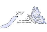 is it gonna be ok? 000 it's gonna be f------ incredible
