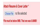 Attach Resume & Cover Letter * Choose File no file selected File must be below 0MB. That one was 0.08MB!