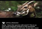u/Free_Statasian Saola - Does this species still exist?? This is an even-toed ungulate endemic to the Annamite Mountains in Vietnam and Laos. It was last...more