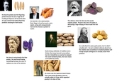 1000 His favorite potato was the fingerling potato because he was a huge fan of Freddy got fingered. He found the idea of a guy named Fred eating fingerling potatoes amusing for that reason. His favorite is the sweet potato. Peter Singer is by all accounts a very sweet, caring and compassionate man and he chooses a potato to match. The obvious choice for Karl was the purple majesty potato. Purple is the color of royalty so destroying a large helping of these made him feel good. He chose to eat primarily the blue potato. He saw himself eating something that was the color of sadness as a test of his stoicism. Burke being a defender of tradition and a thinker that many learned conservatives turn to it should be no surprise he enjoyed the russet burbank potato, the most classic and traditional potato. He really liked the yukon gold potato, but he didn't actually eat it. He just rambled endlessly about how the relative value of potatoes to mashed potatoes will change peoples willingness to actually smash their potatoes. His choice was the Japanese Sweet Potato. Their name being deceptive, they are actually native to China, which appealed greatly to his idea of Xiao.