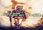 SPICA GOLD SHIP ANYTHING BUT TRAINING Толь