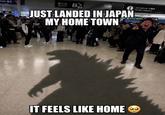 Train S E SHE 第3 Terminal 3 B JUST LANDED IN JAPAN Teel MY HOME TOWN コインロッカーご案内 Cain locker information RICO IT FEELS LIKE HOME