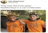 Pete Stegemeyer @itspeterj They look like if you grew SeaMonkeys in a can of Monster. ***