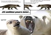 Parictis my brother. I've decided to search for more food in the waters. You will regret this. The enviornment will force you to adapt. I just need some shrimps lol I will be perfectly fine 35 million years later... W-- Hof