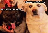 Warhammer Orks Warcraft Orcs