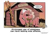 HAZEL WAS I A GOOD GIRL TODAY? RM1720 ARG PINTO 2026 Prolonged use of wildshape can have lasting side effects. (C) 2026 HELFRIED HAIDER CARMINE ARCOPINTO