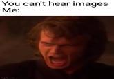 You can't hear images Me: imgflip.com