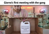 Giorno's first meeting with the gang e your weapon Lenon Animal Lures Pure Coyote Urine