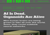 = WIRED & SUBSCRIBE CLAIRE L. EVANS THE BIG STORY AUG 11, 2026 6:00 AM AI Is Dead. Organoids Are Alive Mini human brains are being grown in labs all over the world. Soon, they could outthink neural networks.