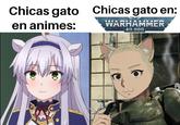 Chicas gato en animes: Chicas gato en: ти WARHAMMER 40,000 204