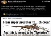 Rusty Shackleford DO @Gr33nOnions X.com Yes there is a survival advantage for smaller animals when the entire world is covered in volcanic ash and debris for multiple lifetimes Not Evolution @NotEvolution1.1d x.com/wrkclshero/sta... Bit of a let down really... From super predator to... chicken? And this is meant to be "Evolution"? For the wisdom of this world is foolishness in God's sight... (I Corinthians 3:19)