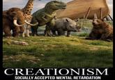 CREATIONISM SOCIALLY ACCEPTED MENTAL RETARDATION