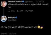 James Charles @jamesc.... 12/24/18 all I want for christmas is a good d--- to suck tbh 6.5K 24K 165K Schlatt → @jschlatt oh my god yes!!! YES!!! so much yes 6:15 PM 12/24/18 •