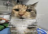 literallymecats ional st Job postings are always like, "Do you want to work in a FAST-PACED and HIGH PRESSURE enviroment?" What? No. Not at all.