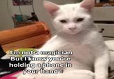 I'm not a magician But I know you're holding a phone in your hand