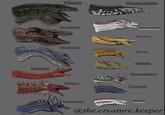 Caraxes Vhagar Sheepstealer Vermithor Silverwing Meleys Dreamfyre Seasmoke Sunfyre Syrax Vermax Moondancer Tessarion Агтах @the.creature.keeper