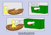 I'm gaining value Why are you building that strange nest? Sausage Bird and Friends WWW.SAUSAGEBIRD.CO.UK
