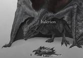 balerion drogon @targaryen.blut