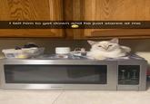 I tell him to get down and he just stares at me SHARP POPCORN 1 2 3 4 5 6 7 8 9 POWER LIVEL 0 START DEFROST COOK REHEAT MELT SOFTEN