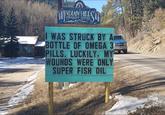 INDIAN HILL COMMUNITY CENTER I WAS STRUCK BY A BOTTLE OF OMEGA 3 PILLS. LUCKILY, MY WOUNDS WERE ONLY SUPER FISH OIL