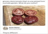 grocery store tomato (top) vs one picked from a private garden. What do you notice? Anne Chovy @AnneChovy2 Theyre different
