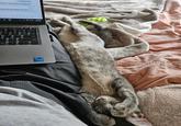 i'll makea note omments. I think Ayesha can handle but r other non-audit projects and I don't 1:43 PM о P [ : ? . ctrl < ® + delete ] backspace A pg enter 1:50 PM 9/16/2025 shift intel CORE