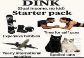 DINK (Dual income, no kid) Starter pack Expensive hobbies Time for self care Yearly international vacation Spoiled cats Likes D 1,630 5,626