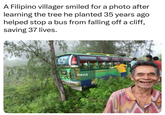 A Filipino villager smiled for a photo after learning the tree he planted 35 years ago helped stop a bus from falling off a cliff, saving 37 lives. MDAHMS THE Sent 1830 CONTRIP SOAXELLAMAN BALAMILL