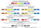 Color Blindness Red Orange Yellow Green Blue Purple Red-Green Color Blindness (common) Avoid red & green and blue & purple color combinations Protanomaly (red-weak) Protanopia (red-blind) Red Orange Yellow Green Blue Purple Redi Orange Yellow Green Blue Purple Deuteranomaly (green-weak) Red Orange Yellow Green Blue Purple Deuteranopia (green-blind) Red Orange Yellow Green Blue Purple Blue-Yellow Color Blindness (rare) Avoid green & blue and red & yellow color combinations Tritanomaly (blue-weak) Tritanopia (blue-blind) Redi Orange Yellow Green Blue Purple Redi Orange Yellow Green Blue Purple Complete Color Blindness (very rare) Don't rely only on colors, additionally use hues, patterns, and text Achromatopsia Red Orange Yellow Green Blue Purple Images converted with Coblis kaggle.com/iamleonie