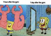 1 hour after the gym: 1 day after the gym: B