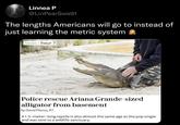 Linnea P @LinPearSwe91 The lengths Americans will go to instead of just learning the metric system News | hour 7 Police rescue Ariana Grande-sized alligator from basement by David Plassa, R7 A1.5-meter-long reptile is also almost the same age as the pop singer and was sent to a wildlife sanctuary.