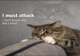 I must attack I don't know why But I must.