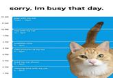 10 AM sorry, Im busy that day. 11 AM play with my cat 10am - 12pm 12 PM nap with my cat 12 - 2pm 1 PM 2 PM 3 PM 4 PM 5 PM 6 PM 7 PM snackies time 2-3pm take pictures of my cat 3- 5pm feed my cat dinner 5 - 6pm relaxing time with my cat 6 - 8pm ybox