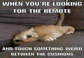 WHEN YOU'RE LOOKING FOR THE REMOTE AND TOUCH SOMETHING WEIRD BETWEEN THE CUSHIONS