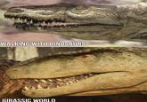 WALKING WITH DINOSAURS JURASSIC WORLD