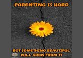 PARENTING IS HARD BUT SOMETHING BEAUTIFUL The Haching Guide to Padding imgflip.com WILL GROW FROM IT