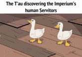 The T'au discovering the Imperium's human Servitors