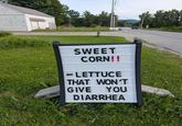 SWEET CORN!! LETTUCE THAT WON'T GIVE YOU DIARRHEA