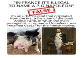 "IN FRANCE IT'S ILLEGAL TO NAME A PIG NAPOLÉON" FALSE It's an urban legend that originated from the first translation of the book Animal Farm, in which the main protagonist, a pig named Napoleon, was renamed Caesar for the French market.
