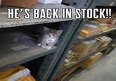 HE'S BACK IN STOCK!! 101-1529 E
