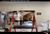★★★★★ Sturdy and easy to use Strong and sturdy ladder. My cats approved it Bankas 6