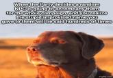 When the Party decides a random NPC is going to accompany them for the whole campaign, and you realize the stupid improvised name you gave to them will be said hundreds of times imgflip.com