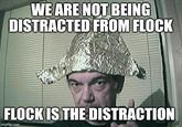 WE ARE NOT BEING DISTRACTED FROM FLOCK FLOCK IS THE DISTRACTION imgflip.com
