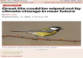 Board /pol/ - Politically Incorrect Settings Mobile Home Anonymous (ID: /P6v438G ) 08/21/26(Fri)22:20:31 No.541195881 LIFESTYLE Great t--- could be wiped out by climate change in near future By Ben Cost Published Nov. 11, 2020, 11:31 a.m. ET The great t-- could soon go the way of the dodo. >Oh its hot outside >Lets just all die Birds are retarded. 724 KB PNG