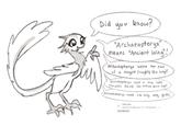 SomberPaw Did you know? ми "Archaeopteryx" means "Ancient Wing"! Archaeopteryx were the size of a magpie (roughly 18 in long)! Archaeopteryx lived in the late Jurassic Period 150 million years ago! Archaeopteryx could not fly, only glide! Wikipedia W https://en.wikipedia.org> wiki > Archaeopteryx You visit often